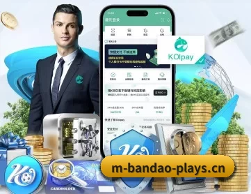 半岛电竞 APP 深度功能